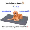 Pañal para Perro Reutilizable Peed Pads